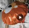 蜡笔熊氦气罐婴儿专用气球宝宝追视绑腿铝膜生日打充氢筒桶场景布置装饰 宝宝追视气球全套｜10 只混搭款 + 氦气罐 + 飘带 实拍图