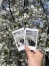 INSTAX富士instax立拍立得 mini相纸 彩虹单包10张+磁吸二合一相框 实拍图