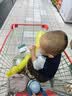 飞鹤【品牌新客 买大送小】卓睿3段幼儿配方奶粉乳铁蛋白HMO新客试用 实拍图