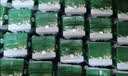 伊利【新鲜日期】金典纯牛奶 200ml*12 3.6g乳蛋白中秋礼品礼盒装  实拍图