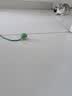 憨憨乐园猫玩具猫咪玩具智能自动逗猫球遛猫遛狗逗狗突突球躲避自嗨神器CS 实拍图