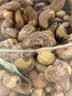 三只松鼠罐装紫皮腰果1000g越南大颗粒每日坚果炒货干果零食团购送礼 实拍图