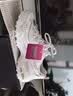 斯凯奇（Skechers）奶茶熊女鞋秋冬季厚底老爹鞋软底熊猫鞋休闲运动鞋 实拍图
