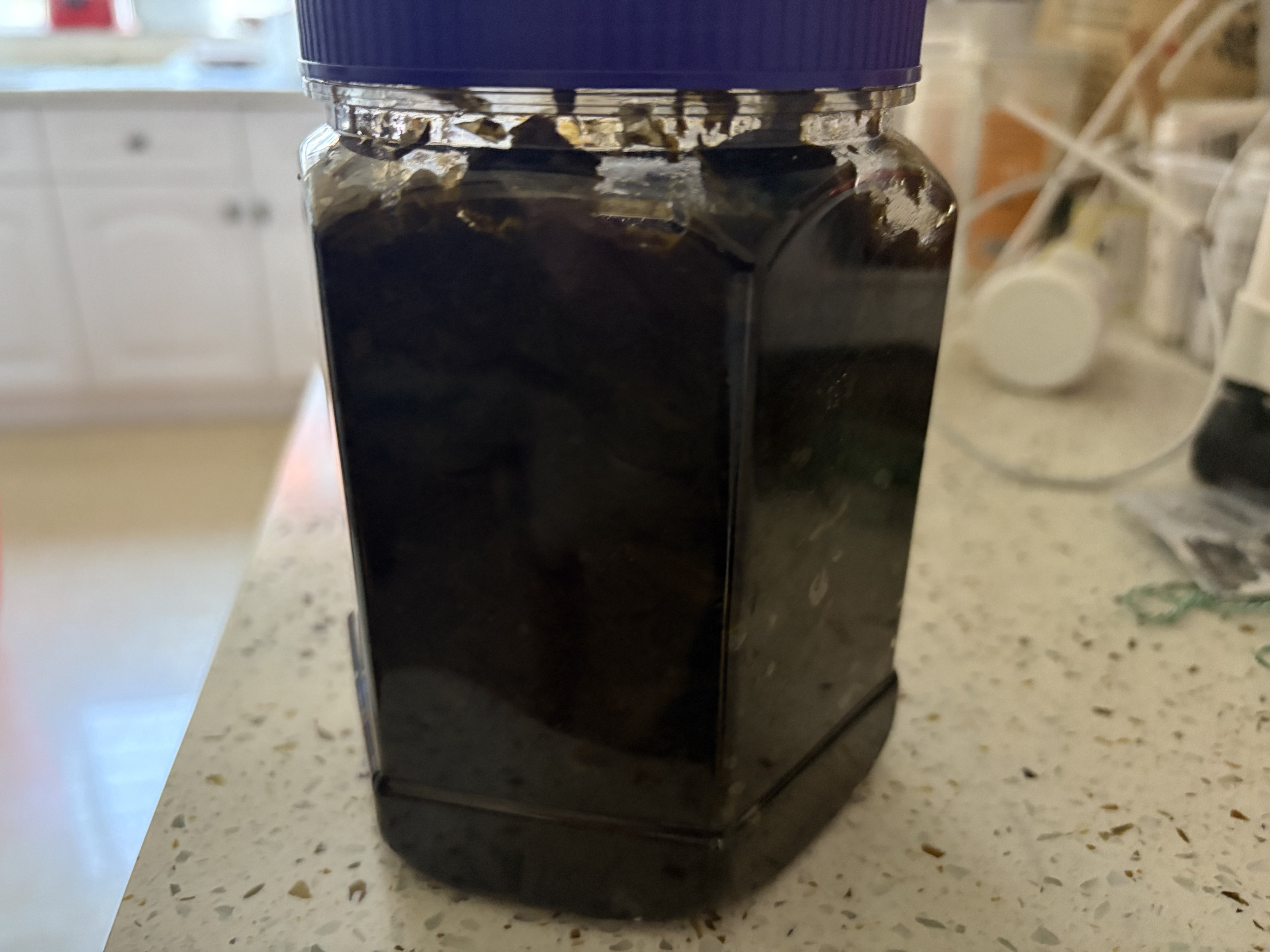 蓬盛 酱腌菜 香港橄榄菜 加量大瓶装下饭菜咸菜佐餐榨菜900g 潮汕特产 实拍图