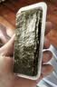 禾泱泱有机原生海苔片原味10.5g  儿童宝宝零食出游小零食无添加食用盐 实拍图