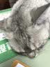 乌斯京一次性手套PVC手套100只小码食品级实验美容清洁烘焙餐饮厨房手套 实拍图