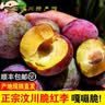 土地母亲计划 正宗汶川脆红李脱骨李子 四川新鲜红脆李中秋送礼 精选5斤 特大果 实拍图