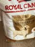 皇家狗粮 拉布拉多成犬狗粮 犬粮 宠物大型犬 LR30 全价犬粮≥15月3KG 实拍图