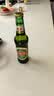 青岛啤酒（TsingTao）经典啤酒 316ml*24瓶 整箱装 国庆出游 实拍图