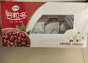 伊利谷粒多 红谷牛奶饮品整箱 250ml*12盒 中秋礼盒装 实拍图