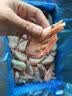 美加佳加拿大 大号熟冻北极甜虾腹籽净重3斤 80/100 海鲜水产中秋聚餐 实拍图