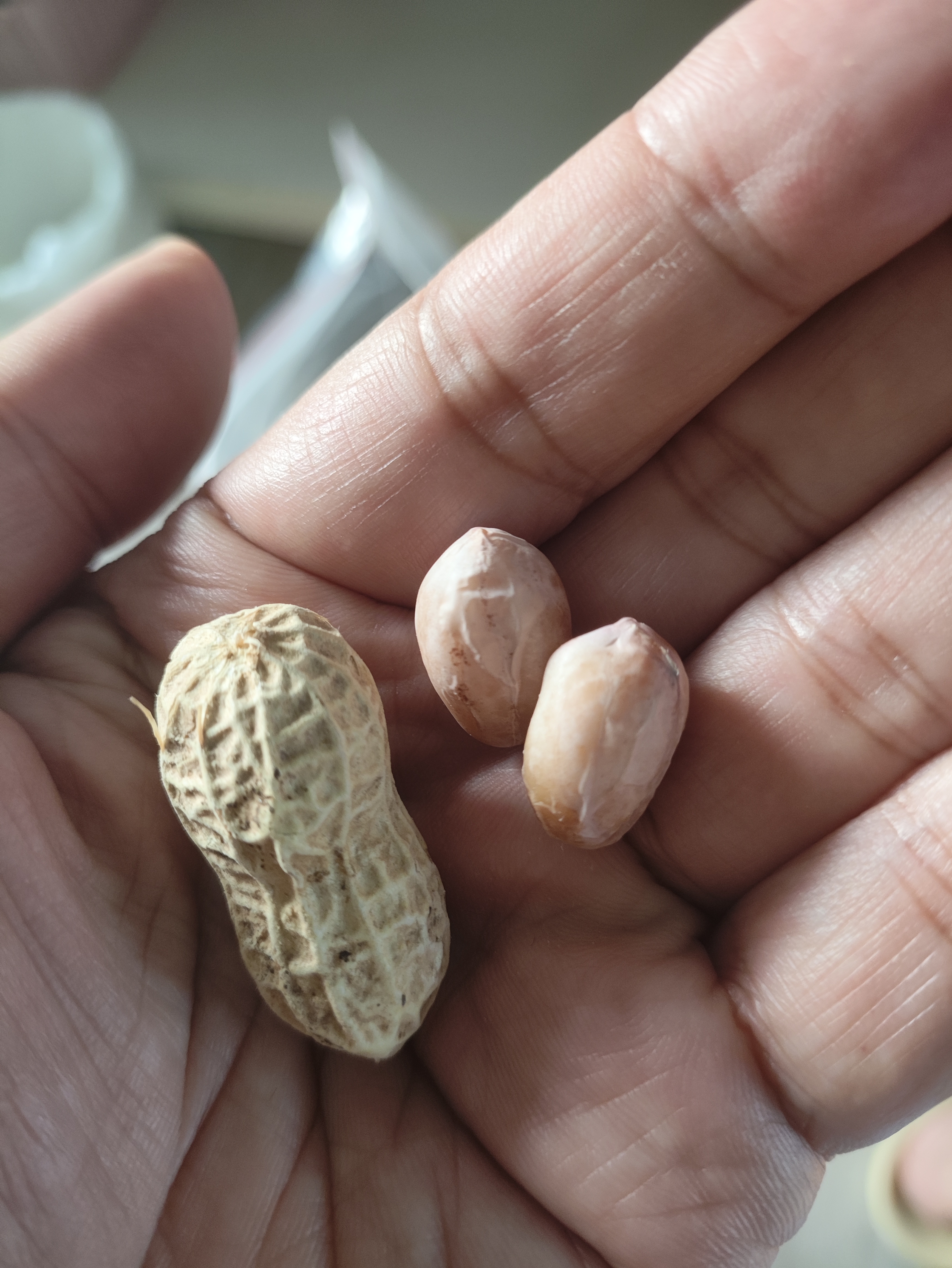 食京欢龙岩水煮咸干花生白晒干原味花生带壳福建特产新货零食下酒菜5斤 实拍图