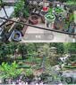 锐视威高清摄像头室外防水监控器家用360度无死角带夜视全景手机远程农村户外4g版无需连wifi终身免流量 双摄4G终身免流量+无需网络插电即用+免费录像回放 实拍图