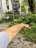 奥妙（OMO）品质严选酵素洁净除菌去味持久留香12斤校服净洗衣液京东自营 实拍图