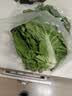 良知农哥【顺丰/JD】东北新鲜白菜叶饭包大白菜叶子打包 新鲜蔬菜 20片菜叶+酱 【顺丰/JD陆运】 实拍图