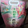十月稻田 五常大米 5斤（东北大米 五常稻香米 2.5kg/公斤） 实拍图
