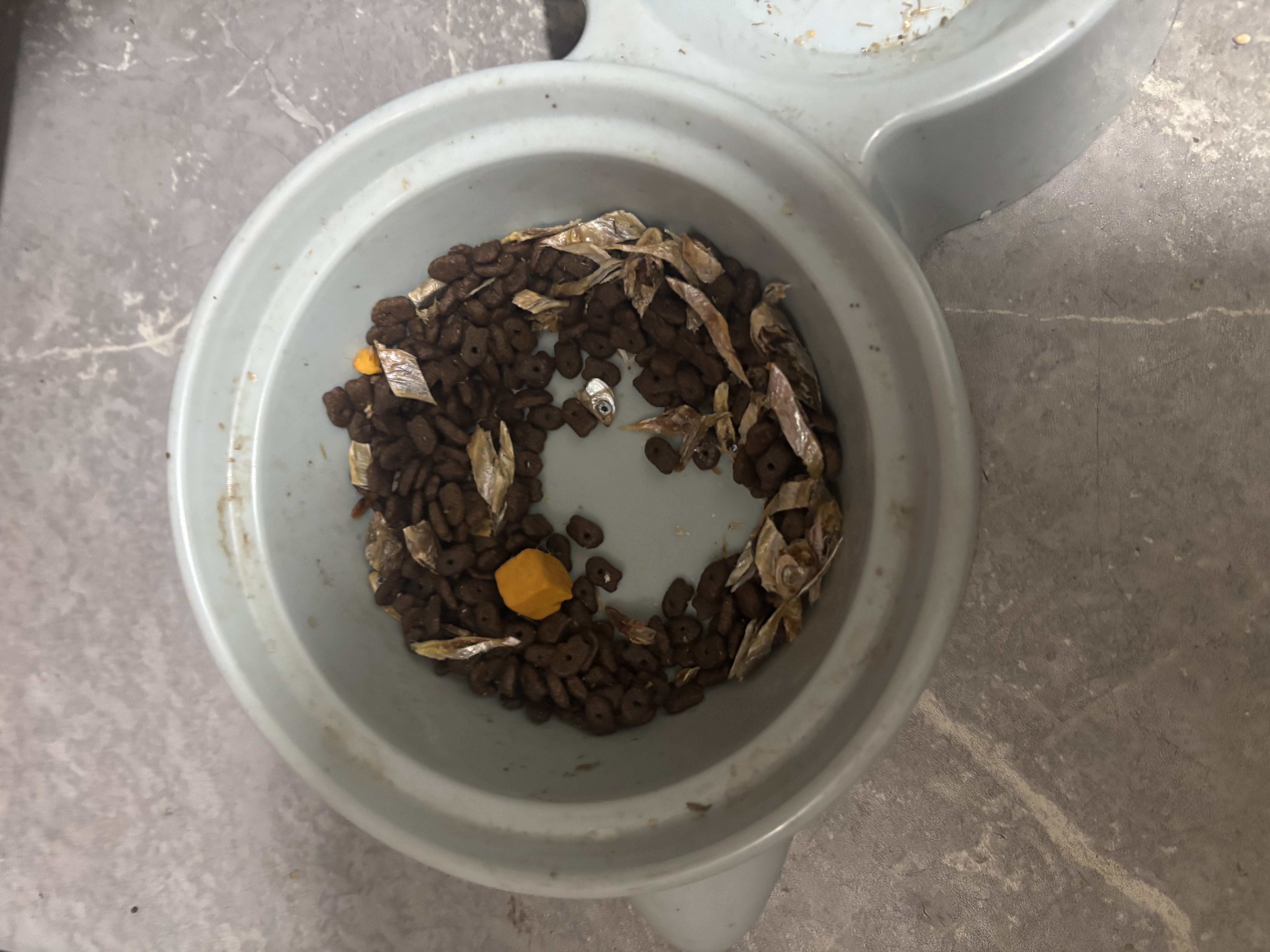 亿迪 猫粮冻干10斤成猫幼猫国产全价布偶蓝猫银渐层全阶段专用 实拍图