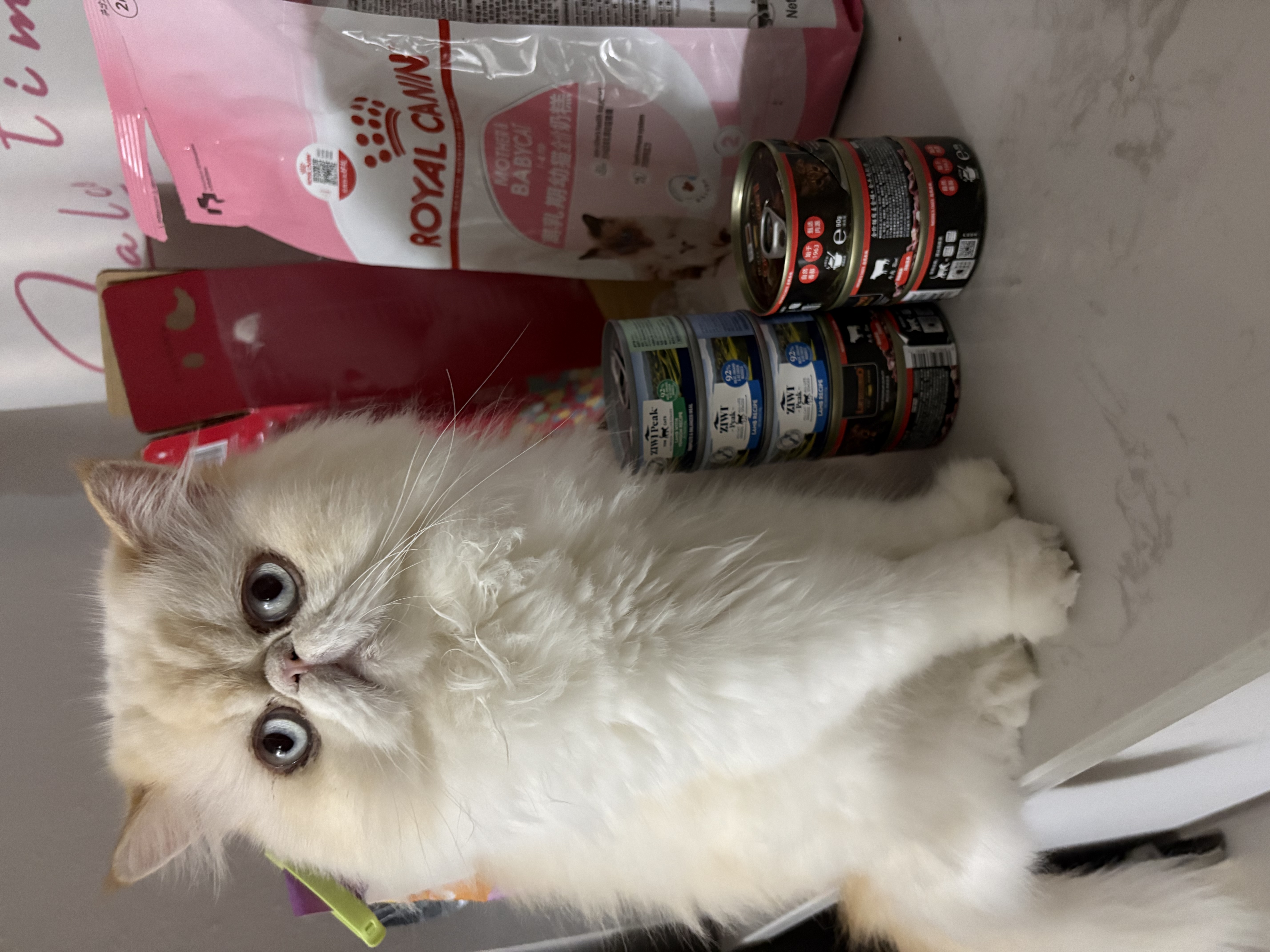 LEGENDSANDY蓝氏狗粮狗零食真鲜乳鸽冻干鲜肉犬粮尝鲜组合泰迪柯基 实拍图