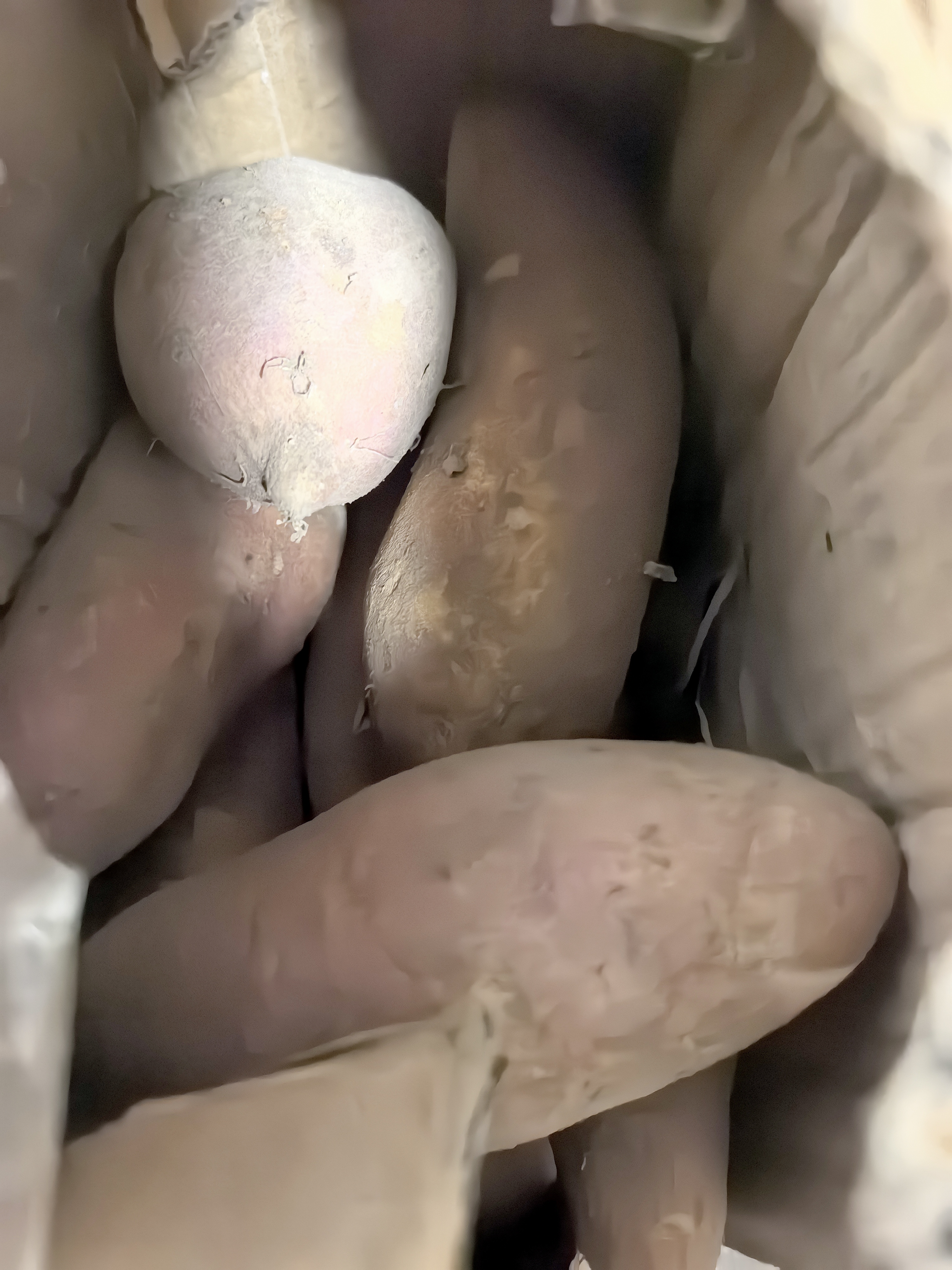 现挖沙地蜜薯红薯新鲜农家糖心番薯烤地瓜软糯批发黄心包邮 沙地蜜薯2斤装中小果 含箱 实拍图