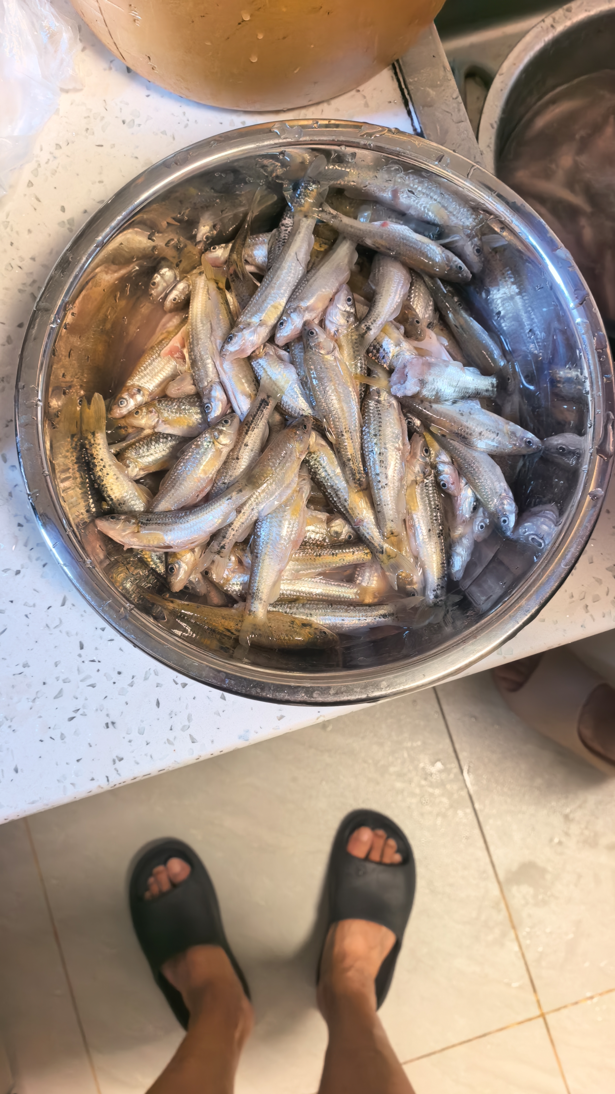 龙王恨鱼饵蓝鲫X5香腥综合通杀饵料江河黑坑野钓鲫鲤草鳊鲢鱼食钓鱼饵料 实拍图