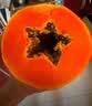 京鲜生 海南红心木瓜 2粒装 单果约450g-500g 生鲜水果 实拍图