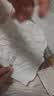 babycare皇室狮子王国拉拉裤加大号XXXL24片 (>17kg)尿不湿干爽大吸量 实拍图
