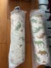babycare婴儿安抚枕头宝宝多功能抱枕透气枕头6月-6岁-比奇角恐龙39*12cm 实拍图