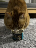 Tiki Cat猫罐头鱼肉鸡肉黑夜传说湿粮主食罐头你好朋友成猫幼猫猫零食 黑夜传说156g(混合8罐) 实拍图