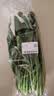 大菠菜300g 实拍图
