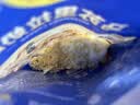 妙可蓝多 国产马苏里拉芝士碎228g*2原制奶酪 披萨拉丝焗饭家庭烘焙原料 实拍图