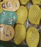 佳沛（zespri）新西兰金奇异果10粒巨大果146-175g猕猴桃中秋节礼品送水果礼盒 实拍图