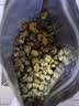 陈一凡 蒲公英茶 炒制长白茶蒲公英叶泡水喝搭金银花花草茶袋装250g 实拍图