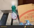 蓝月亮洗手液泡沫丰富清爽去油去腥500g+洗手液补充装500g  实拍图