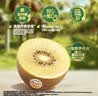 佳沛（zespri）新西兰金奇异果10粒巨大果146-175g猕猴桃中秋节礼品送水果礼盒 实拍图