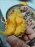 正宗烟薯25号新鲜现挖糖心流油蜜薯软糯无丝烤地瓜软糯香甜 河南沙地烟薯5斤净重 （单果3两起） 实拍图