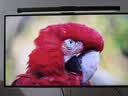 飞利浦27英寸 4K 120Hz进阶版 NanoIPS Black 2.0硬件防蓝光TypeC96W HDR600办公设计显示器27E2F7901D 实拍图