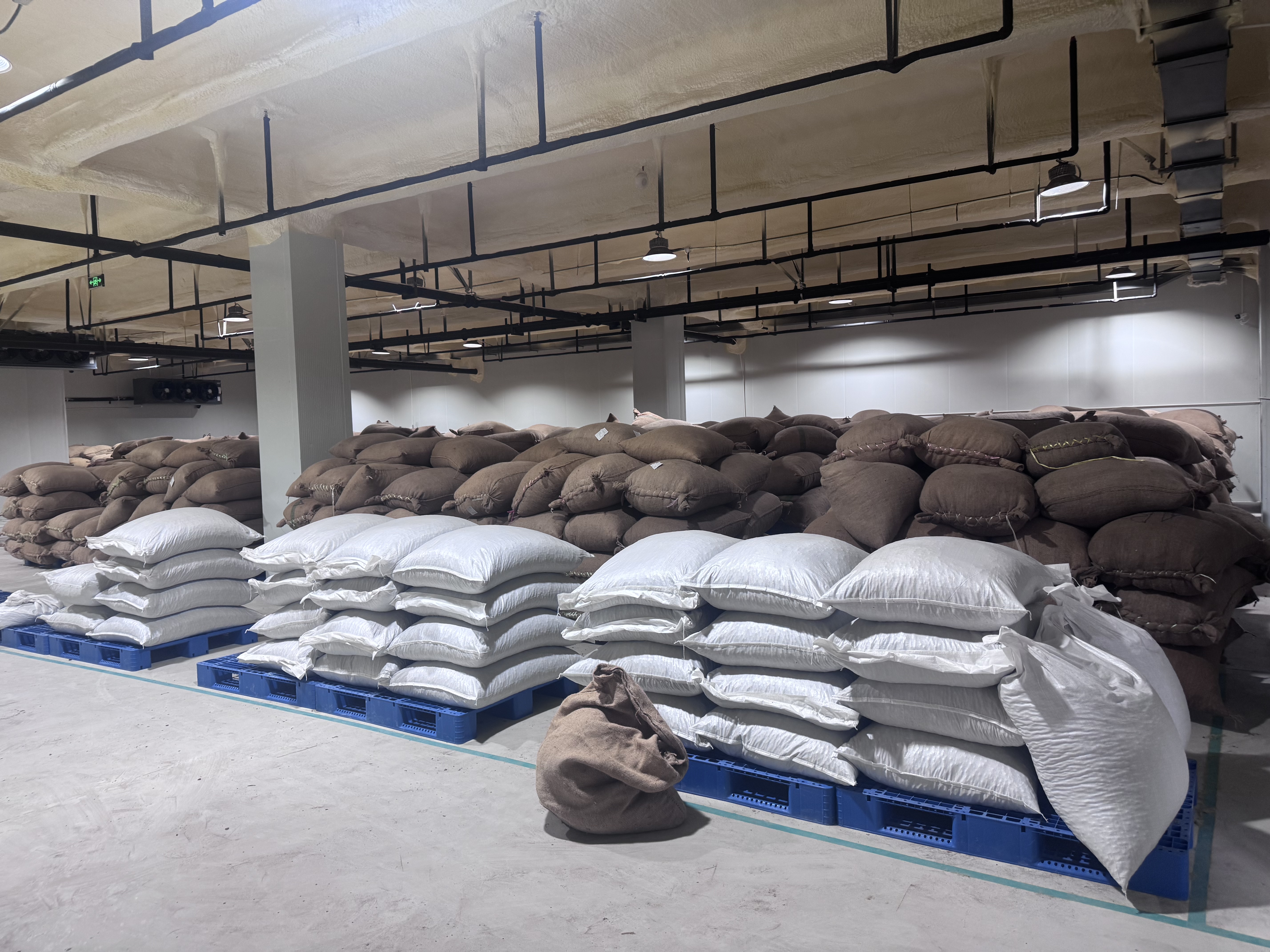 蓉城商用电子秤300公斤大型落地秤磅秤高精准摆摊卖菜做生意快递货物称货台秤 实拍图