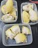 佳帮手冰箱保鲜盒食品级抗菌收纳盒专用密封水果蔬菜冷冻盒1000ml3只装 实拍图