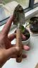 史丹利不锈钢小铲子花铲挖沙耙子园艺工具松土赶海沙滩玩具种菜养花套装 实拍图