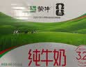 蒙牛【新鲜日期】全脂纯牛奶200ml*24盒 家庭送礼囤货 电商定制 实拍图