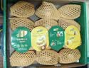 佳沛（zespri）新西兰阳光金奇异果6粒装88-103g猕猴桃水果中秋节礼品送水果礼盒 实拍图