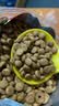 皇家猫粮 绝育成猫粮 SA37通用粮 1-7岁10KG 实拍图