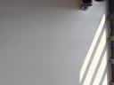 防水补墙膏墙面修补净味防霉反碱脱落掉皮内墙修复白腻子膏家用 5斤（约2.5平方）送全套工具 实拍图