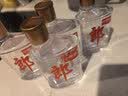 郎酒小郎酒经典款 兼香型白酒 45度 100mL*6瓶 整箱装【小酒】 实拍图