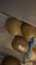 佳沛（zespri）新西兰金奇异果10粒巨大果146-175g猕猴桃中秋节礼品送水果礼盒 实拍图