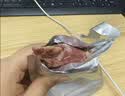 三只松鼠轻卤牛腱肉原味400g/8袋健身代餐卤牛肉送玉米鸡肉60g*2袋 实拍图