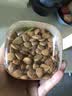 新边界甜杏仁400g 新货南杏仁生甜不苦烘焙新疆原味坚果可做杏仁露 实拍图