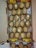 佳沛（zespri）新西兰金奇异果22粒巨大原箱146-175g猕猴桃中秋节礼品送水果礼盒 实拍图
