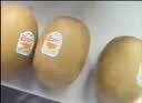 佳沛（zespri）新西兰金奇异果10粒巨大果146-175g猕猴桃中秋节礼品送水果礼盒 实拍图