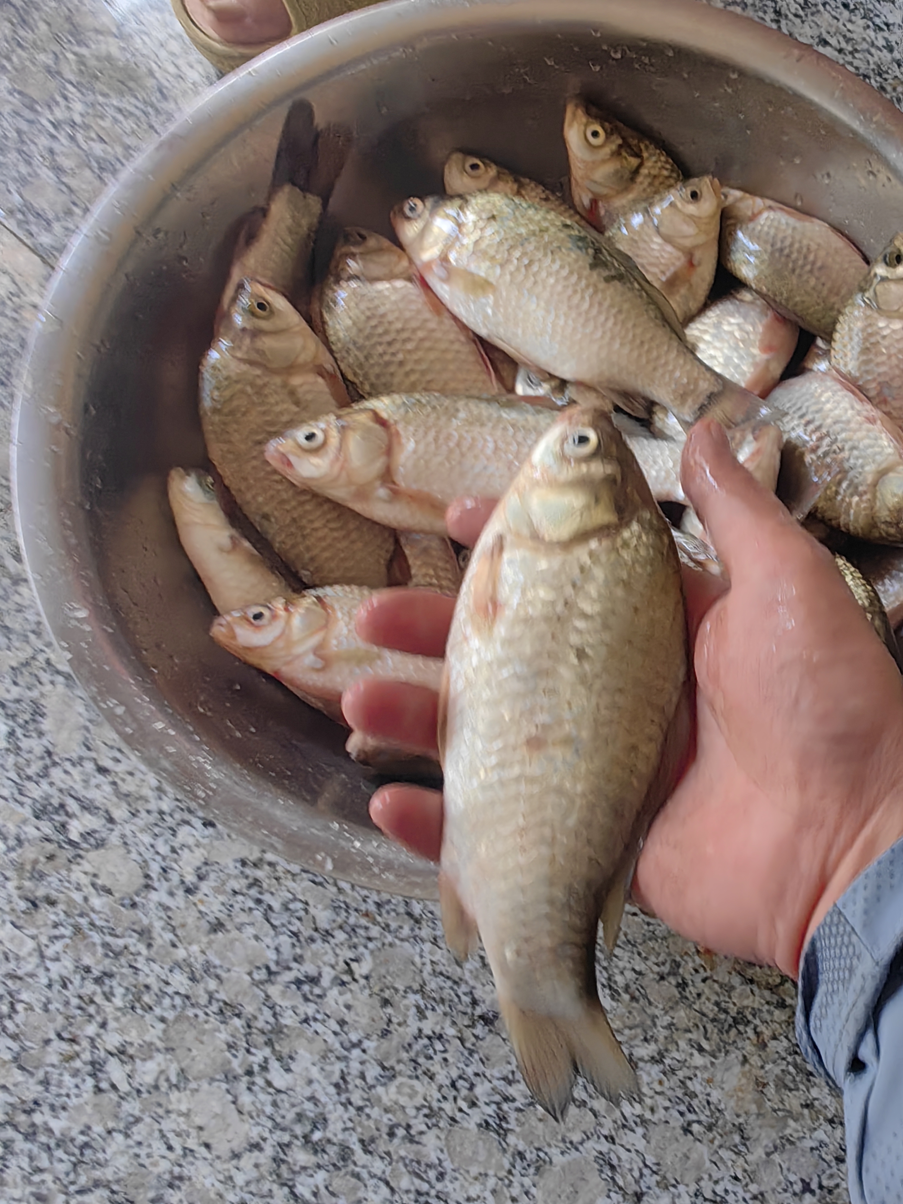 沃鼎王者神剑四代鱼竿手杆超轻硬钓鱼竿台钓鲫鱼综合手竿 5.5H 4.5m 实拍图
